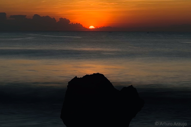 arturo-araujo-bermudez-2025-herido-por-tu-partida_portada